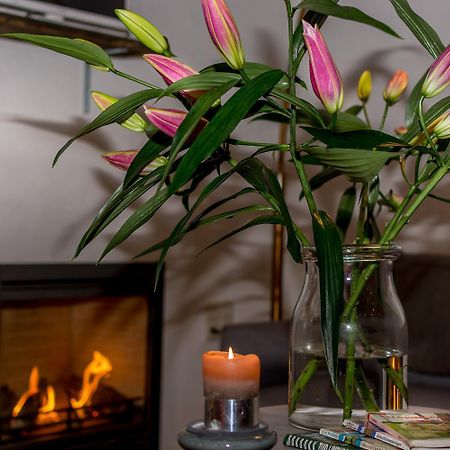 Aan De Holle Weg. Zeer Landelijk Gelegen Verbouwde Stal Tot Woning Nuth Zewnętrze zdjęcie